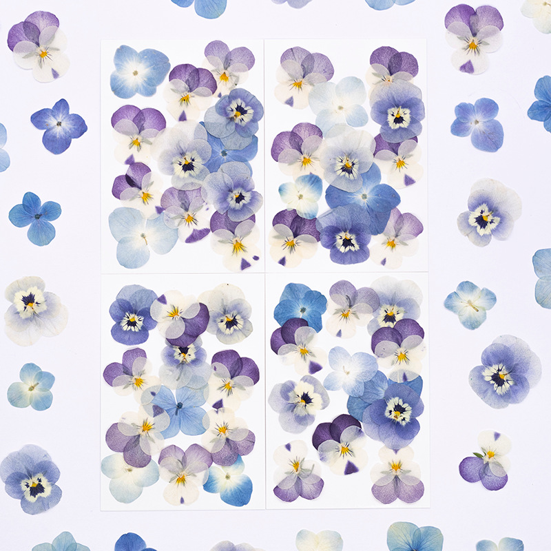 Candle For Supplies - 12個入り、本物のヴィオラ・コルヌータ押し花、天然花びら、DIYフェイスメイク、樹脂ブックマーク、キャンドルクラフト、デコレーション用品