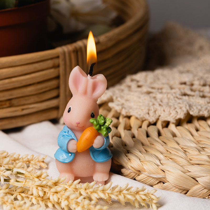 子供用パーティー用品　クリエイティブな誕生日キャンドル　可愛 - Candle For Supplies のレビューと価格