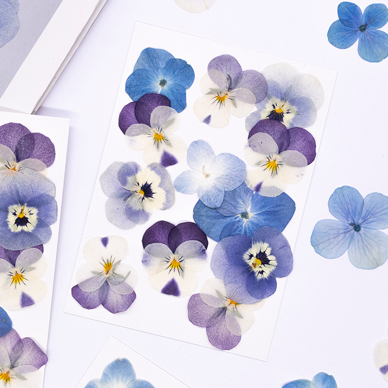 12個入り、本物のヴィオラ・コルヌータ押し花、天然花びら、D - Candle For Supplies のレビューと価格